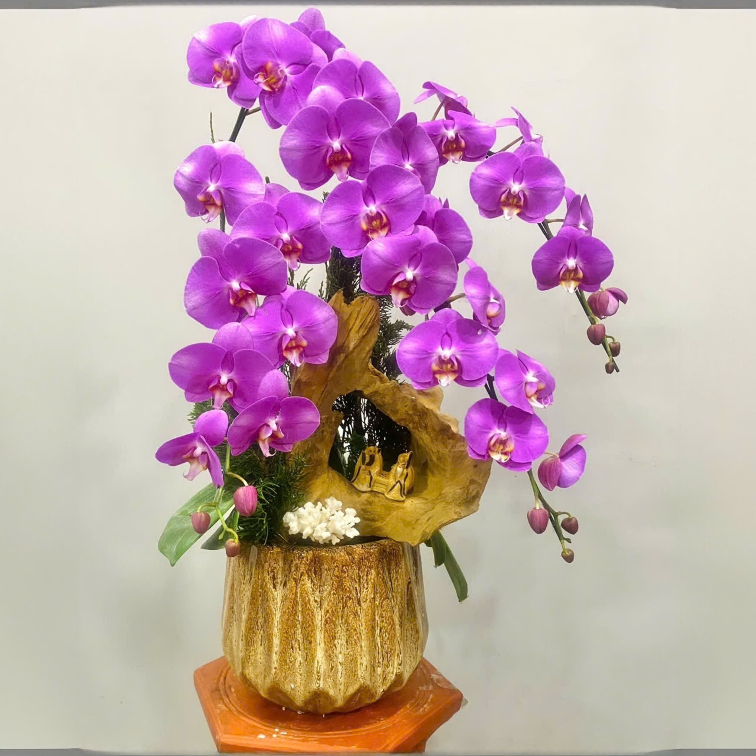 Lan hồ điệp màu hồng 4 cành - HD127